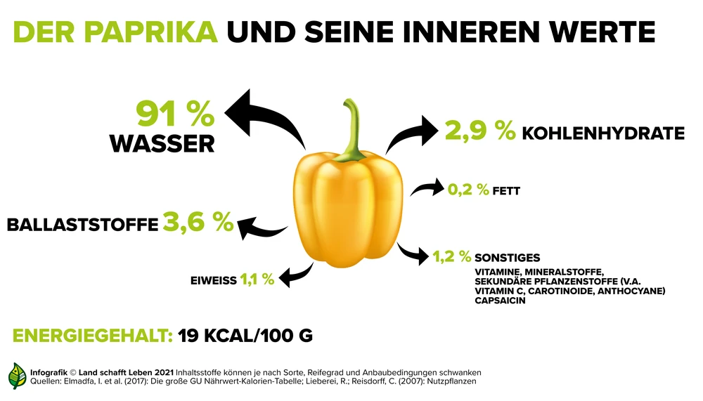 Wie Viel Kalorien Hat Eine Paprika Gesundheit | Paprika| Land schafft Leben